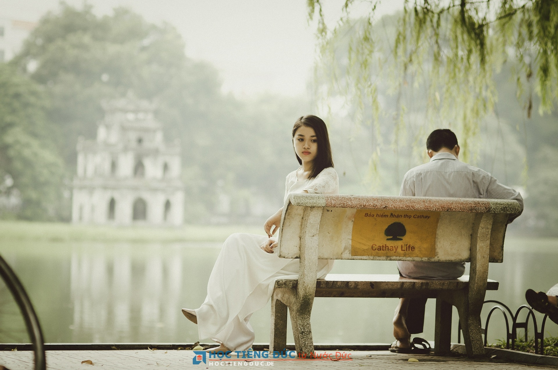 Bài 28 - A1: Động từ phương thức trong tiếng Đức | modalverben - "möchten"