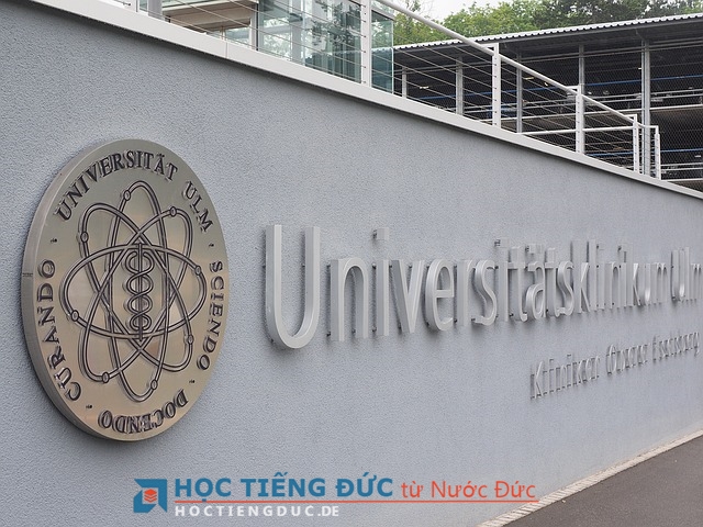 5 sai lầm tai hại khi bắt đầu học tiếng Đức và cách khắc phục