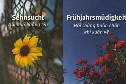 10 từ tiếng Đức độc nhất vô nhị và đẹp như thơ để gọi tên những cảm giác không...