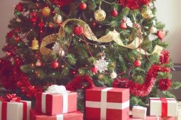 Những câu chúc mừng giáng sinh và năm mới bằng tiếng Đức thông dụng và đầy ý...